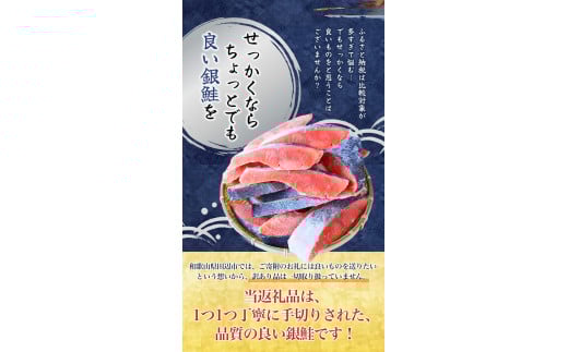 【厚切り！】 銀鮭 切り身 3kg うす塩  / 鮭 切身 さけ サケ シャケ 大きい 塩 冷凍 おかず お弁当 魚 和歌山県 田辺市 ご家庭用 正規品【mts008-1】