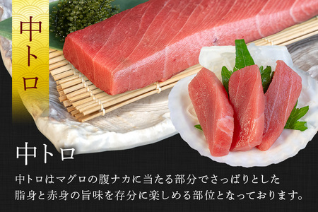 沖縄県産「旬のマグロ」をお届け！天然本マグロセット 600g