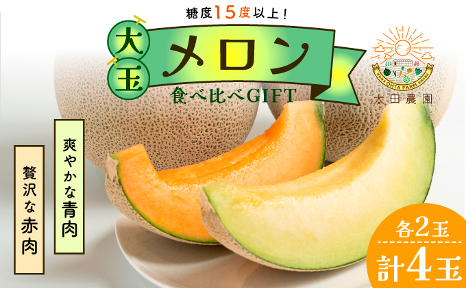 太田農園メロン“GIFT”赤肉メロン＆青肉メロンセット（各2玉ずつ） 2025年 先行予約 メロン セット 糖度 赤肉 青肉  高級 果物 フルーツ おやつ デザート 新潟 夏フルーツ 