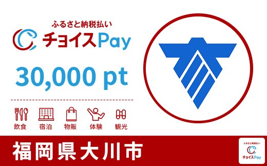 
                  大川市チョイスPay 30,000pt【会員限定のお礼の品】
                
