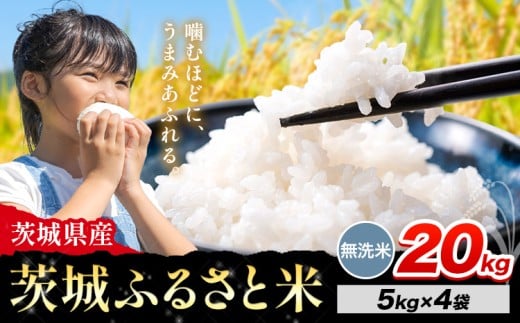 米 茨城 ふるさと米 無洗米 20kg《8月下旬-9月末頃出荷》茨城県 河内町 米 国産 お米 おこめ お弁当 おにぎり