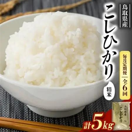 【毎月定期便】【食味鑑定士厳選】鳥取県産 コシヒカリ5kg(5kg×1袋) 精米全6回【4083762】