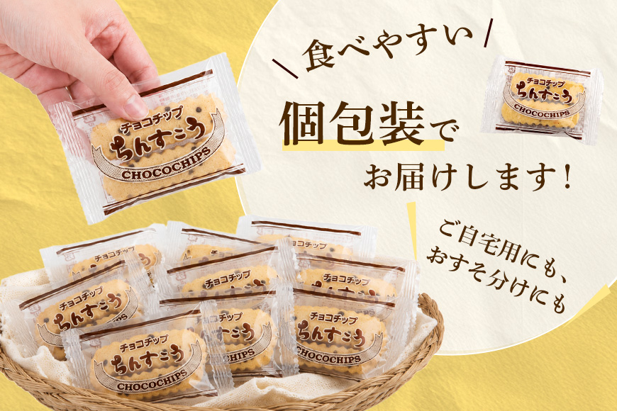訳あり ちんすこう チョコチップ 10袋入り（メール便ふるさと納税） 沖縄ちんすこう チョコ チップ お土産 お取り寄せ ギフト 訳アリ お菓子 焼き菓子 スイーツ 沖縄 うるま市 th01-005