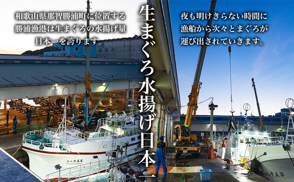 【訳あり】丼にぴったり！那智勝浦町水揚げびんちょうマグロのぶつ切り（2パック）【不揃い】（計600g）