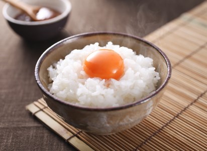 たまご屋さんのギフトセット 平飼い 有精卵