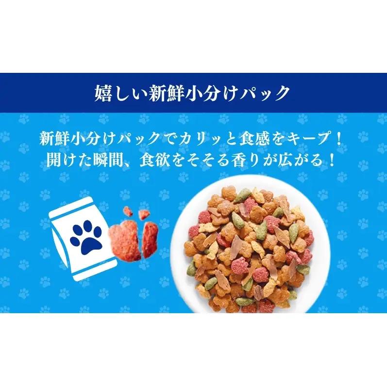 キャットフード コンボ 下部尿路の健康維持 600g キャットフード