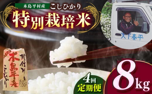 【先行予約】【定期便4回】特別栽培米 こしひかり 8kg(2kg × 4袋) × 4回 | 米 こしひかり コシヒカリ 定番 品種 定期 特別栽培 寒暖差 木島平村 長野県 信州