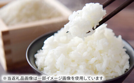 【令和6年度産】岐阜県産米ハツシモ10kg 米 米 米　岐阜市 / 藍川ファーム[ANHI002]