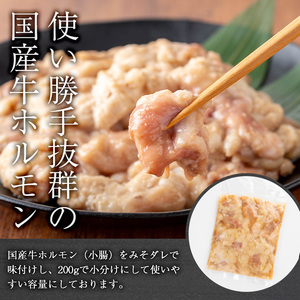 【期間限定企画！】国産牛ホルモン（小腸）みそ漬け＆豚ミンチセット(計1.6kg・約200g×8パック) 牛肉 ホルモン みそ漬け【おきどき】A886-v01
