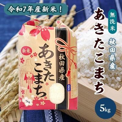 ふるさと納税 潟上市 新米!令和7年産 秋田県産 あきたこまち 無洗米 5kg