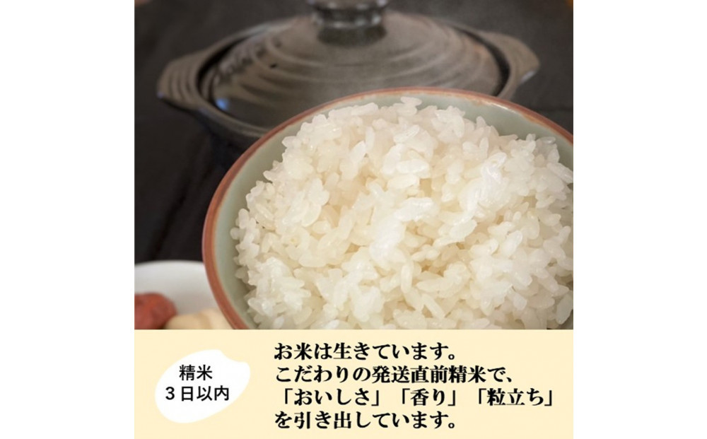【令和8年産】【日本農業賞大賞】ゆめみづほ9kg（4.5kg×2）精白米 能美市 お米 精米銘柄米 ご飯 おにぎり お弁当 和食 粘りが少ない 精米したて 一等米