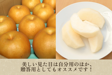 和梨 南水 3kg（6～8玉）《9月中旬から順次発送》果物 なんすい なし 梨 フルーツ 新鮮 ジューシー 産地 加茂市 樋口農園