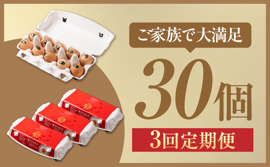 【3ヶ月定期便】\最高級たまご/烏骨鶏卵 モールド 30個セット 30個×3回