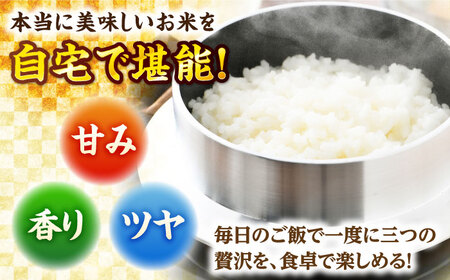 【定期便3回】【令和7年産】 福井県産こしひかり 精米 5kg 小浜市 / シマダ農園 [BFAV010]