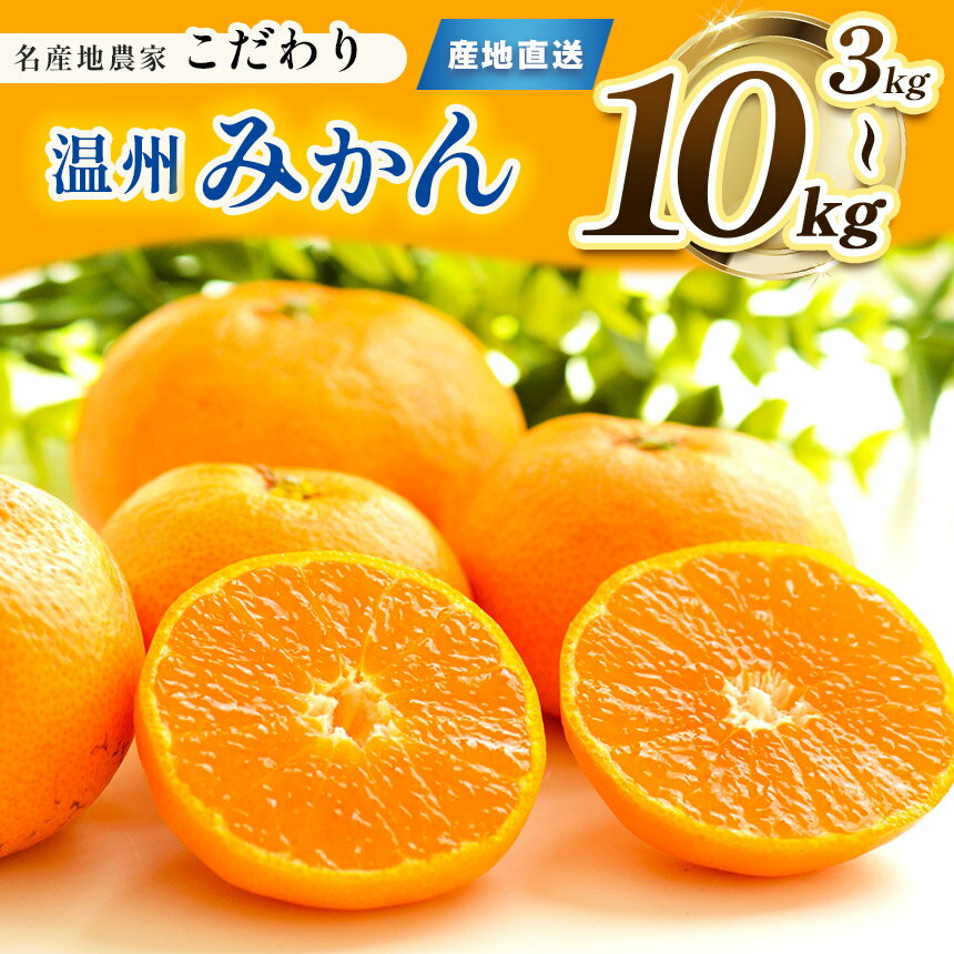 【ふるさと納税】 こだわり みかん 柑橘 ミカン 選べる 3kg 5kg 10kg | 果物 くだもの フルーツ 柑橘 柑橘類 みかん 温州 玉名 熊本 下田農園 生産者直送 産地直送 熊本玉名 送料無料