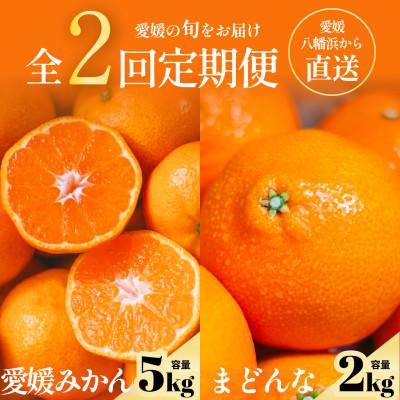 ふるさと納税 八幡浜市 【発送月固定定期便】五代目厳選!旬の愛媛みかんをお届け みかん・まどんな【F70-39】全2回