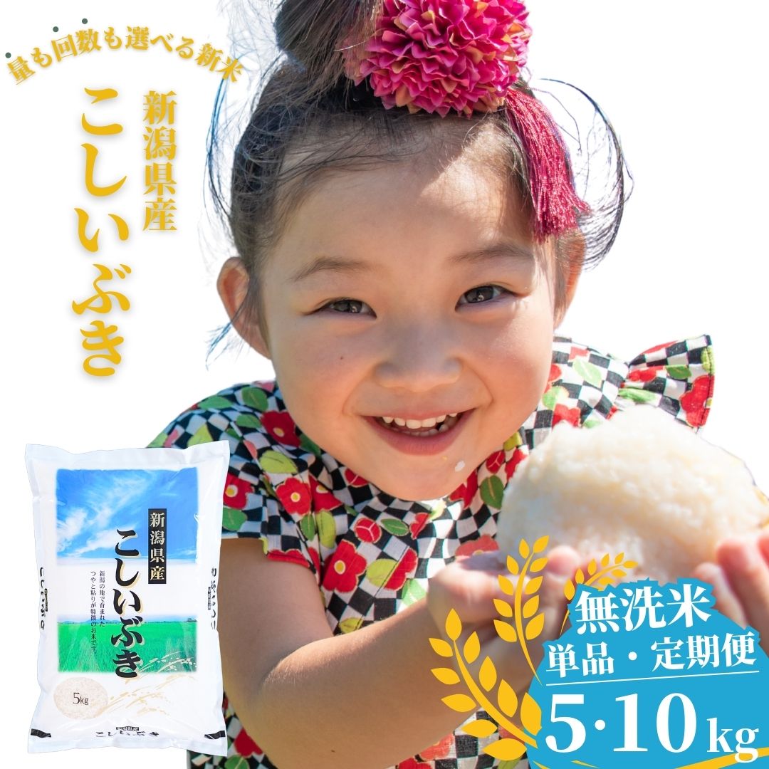 【ふるさと納税】新米 先行予約 無洗米 新潟県産こしいぶき 5kg・10kg 選べる配送回数（1・3回）令和7年産 米 [株式会社白熊]【017S007】