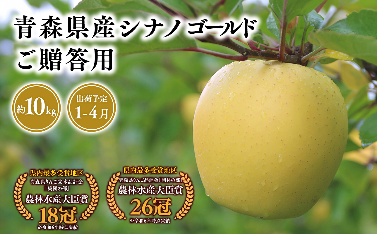 2026年産　 １月～４月発送　贈答用シナノゴールド10kg【青森県 平川市 そと川りんご園】１月～４月発送 贈答 青森 青森県産 平川 りんご リンゴ 林檎 くだもの 果物 フルーツ