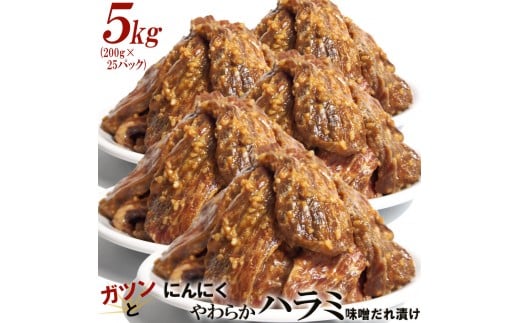 ガツンとにんにくやわらかハラミ味噌だれ漬け5kg（200g×25）