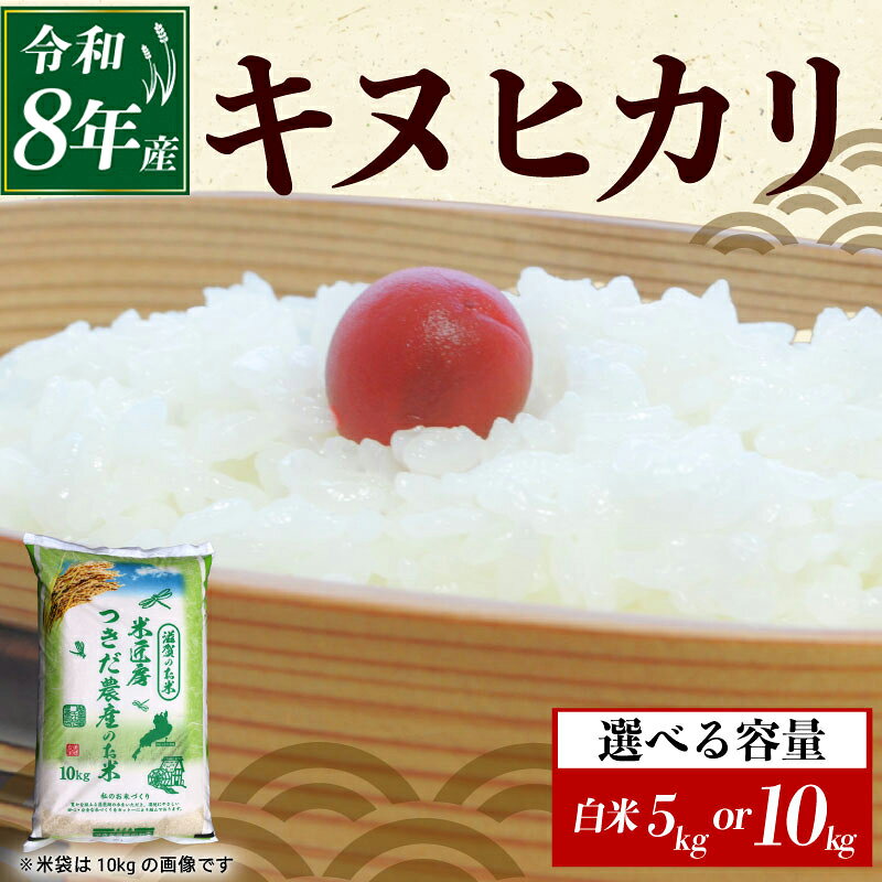 【ふるさと納税】 令和8年産 新米 キヌヒカリ 白米 5kg×1袋 10kg×1袋 選べる 容量 米 コメ お米 5キロ 10キロ 米5kg 米10kg ご飯 ごはん きぬひかり おにぎり お弁当 5kg 10kg 5 10 滋賀 彦根