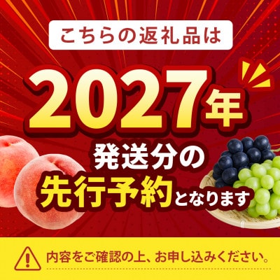 2027年発送先行受付【一流レストラン御用達】リピーターNo.1樹上完熟桃ギリギリ限界まで完熟【配送不可地域：離島・北海道・沖縄県・中国・四国・九州】