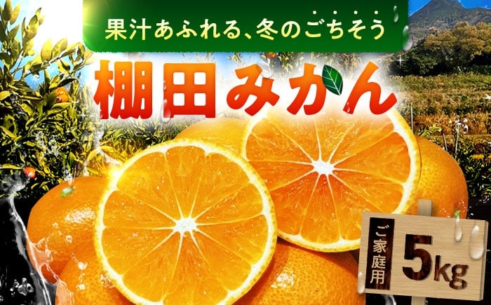 
            武雄産棚田みかん 5kg ご家庭用（S～Lサイズ混合） /株式会社 y’s company（utsu和ya） [UDX027]
          
