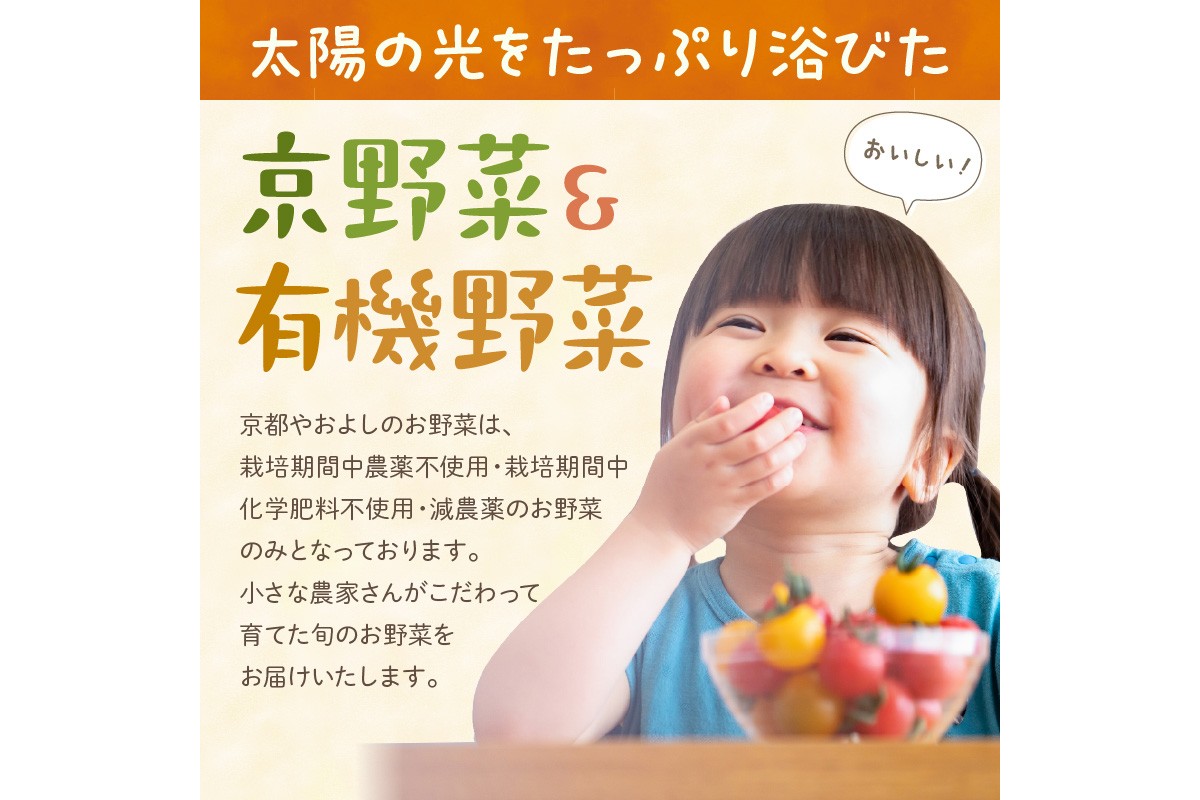 【定期便】合計12回お届け　有機野菜・京野菜の『京都やおよし』のお野菜＆平飼玉子10個の詰め合わせ　AA00036