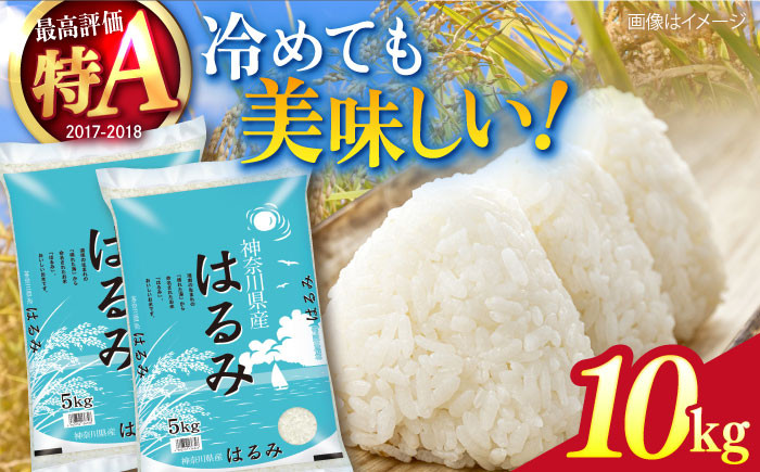 
            【数量限定】お米 はるみ 10kg 米 お米 こめ おこめ コメ さっぱり 粘り うま味 精米 はるみ 神奈川県 神奈川  10キロ 特Ａ ランキング 【株式会社ヨコショク】 [AKGC002]
          