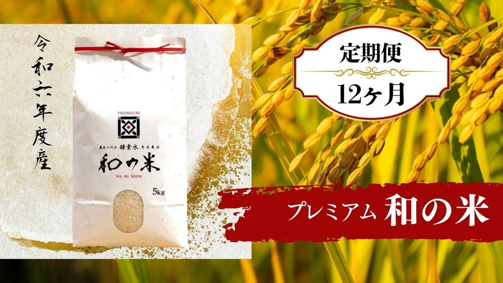 
            【12ヵ月定期便】＼令和6年産／和の米「酵素米」プレミアム　精米5kg×12回
          