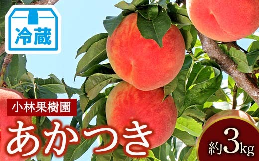 【2026年出荷分先行予約】<冷蔵配送>福島県産 あかつき 約3kg (9～12玉) 小林果樹園 伊達の桃 桃 フルーツ 果物 もも モモ momo F21C-255