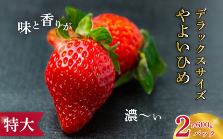 特大・デラックスサイズ 大粒苺 やよいひめ ４パック | ｲﾁｺﾞ いちご 苺 いちご ｲﾁｺﾞ 果物 いちご 旬 いちご いちご