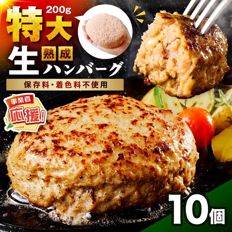 【無添加】食べ応え抜群！ 生ハンバーグ 200g 10個【ふるさと納税3.0】【087D-091】