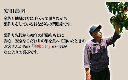 【先行予約】安田農園 梨 ”王秋梨” 5kg箱｜鳥取 岩美 梨 なし ナシ【41029】