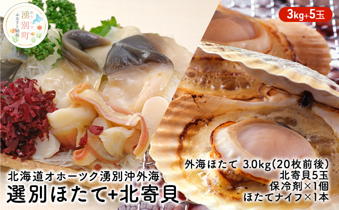 先行予約北海道 オホーツク 湧別沖 外海 選別 ほたて 3kg+ 北寄貝 5玉 帆立 ホタテ 刺身 海鮮 魚介 国産 殻付き 貝付き 冷蔵 サロマ湖 魚貝類 