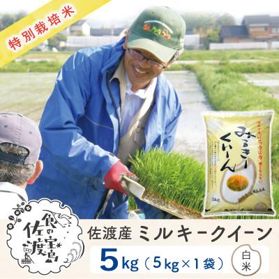 ふるさと納税 佐渡市 【新米予約】佐渡島産ミルキークイーン 白米5Kg 令和7年 特別栽培米