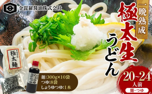 本場さぬきうどん一晩熟成極太生うどん 極太満足セット 極太生うどん300g×10袋、つゆ20ml×8、しょうゆうどんつゆ200ｍl 1本 F5J-160