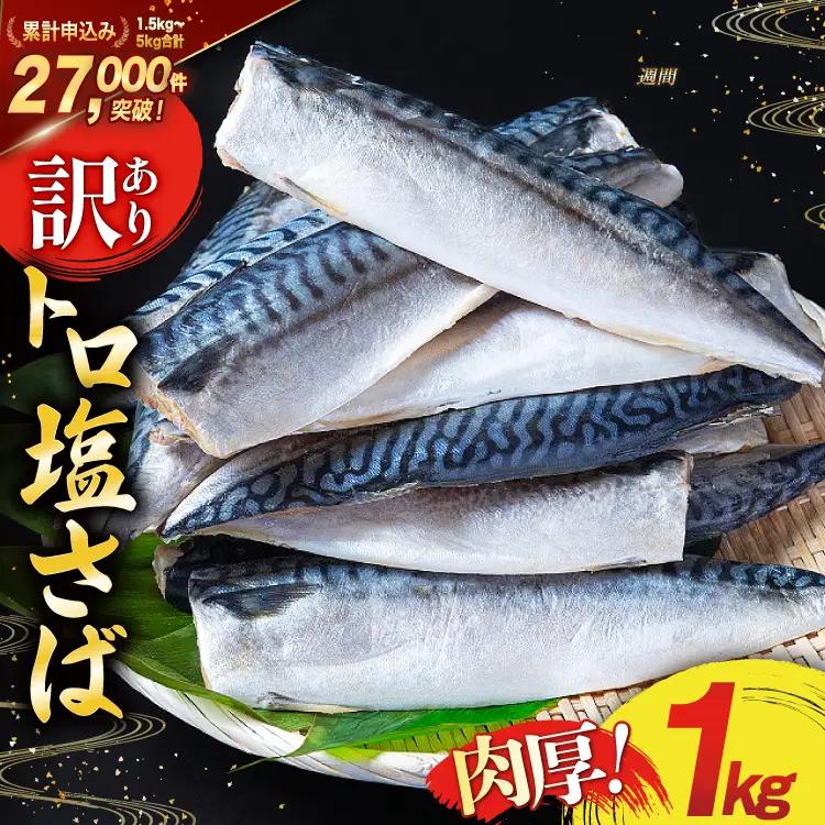 訳あり 塩サバ フィレ 1kg  魚介類 魚 海鮮 大容量 サバ さば 鯖 サバフィレ サバフィーレ 鯖フィレ 切り身 冷凍 訳アリ 訳あり わけあり トロサバ 減塩 とろさば
