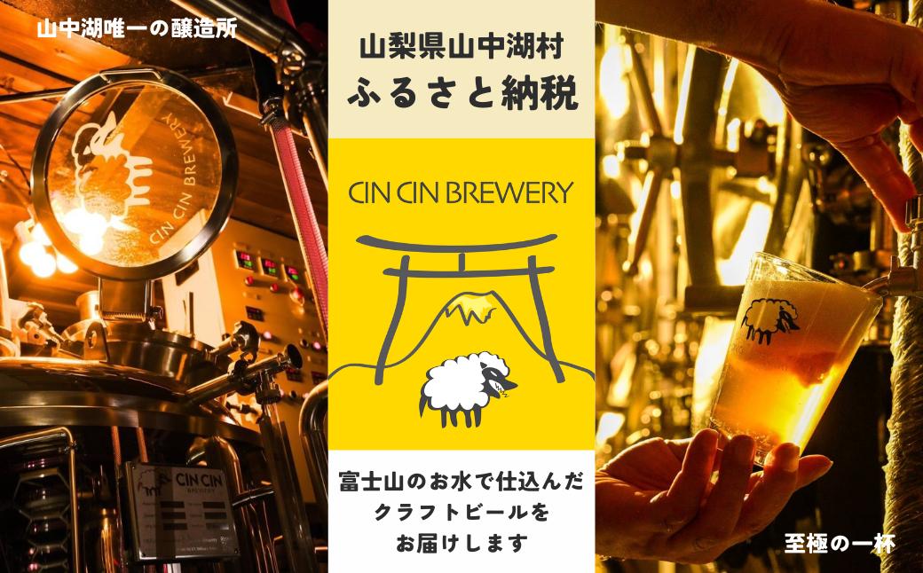 【24本セット】Fuji Bitter Ale / UK IPA 瓶330ml　YBC003_イメージ4