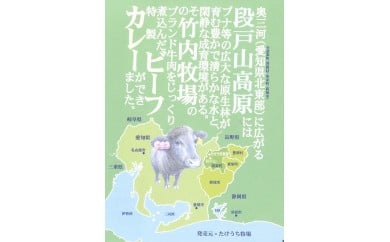 【ふるさと納税】 ご当地カレー 牛肉 煮込み 段戸牛カレー 7個セット 牛 簡易包装 便利 カレー レトルト レトルトカレー インスタント インスタントカレー 常温 人気 道の駅 お取り寄せ 贈り物 非常食 食品 -024