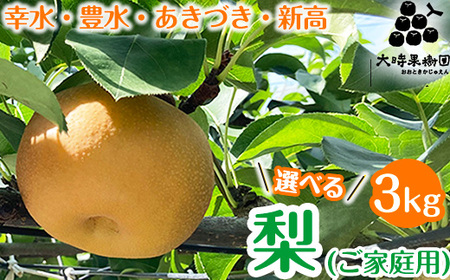 【選べる】梨　3kg箱（家庭用）　※2025年8月中旬頃より順次発送予定