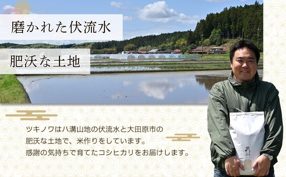 【令和7年産 新米 先行予約受付】ツキノワのコシヒカリ 精米 10kg ｜お米 白米 ご飯 コメ 栃木県 大田原市 