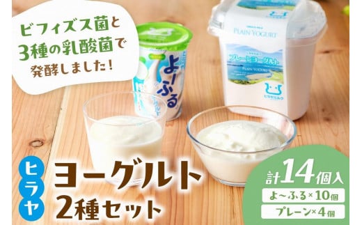 プレーンヨーグルトとよ～ふるのセット　ヒラヤ 乳製品 飲料 牛乳 ミルク 乳酸菌 乳酸菌飲料 ヨーグルト よーぐると AM00429