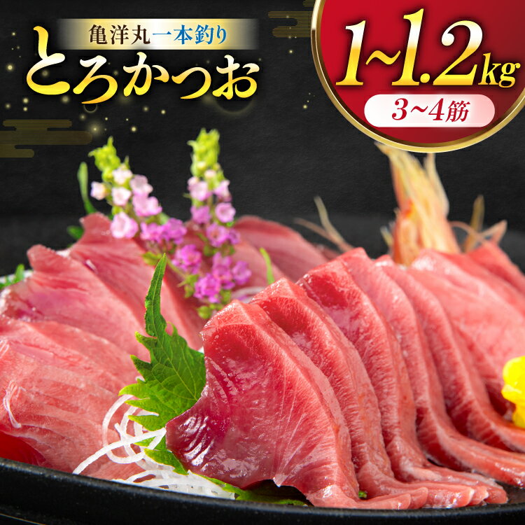 【ふるさと納税】【TVで紹介！】亀洋丸一本釣りとろかつお 1kg～1.2kg [阿部長商店 宮城県 気仙沼市 20565040] 魚介類 海鮮 魚 カツオ かつお 鰹 トロ トロかつお 刺し身 刺身 お刺身 冷凍