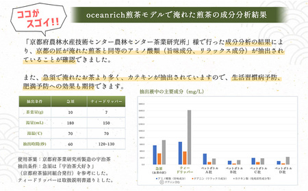 【急須で淹れたようなお茶の味わい】oceanrich Tea dripper 煎茶モデル(家電 家電製品 急須家電 家電人気 キッチン家電 家電ドリッパー)