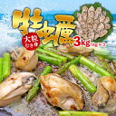 【ふるさと納税】大粒むき身牡蠣 3kg（約20〜30粒×3袋） 個別冷凍 冷凍かき 冷凍 加熱用 大粒 魚介 魚貝類 海産物 お取り寄せ グルメ 鍋 ふるさと 納税 千葉県 長生村