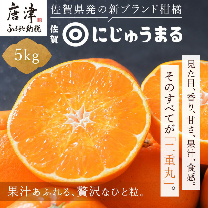 【ふるさと納税】『先行予約』【令和9年3月上旬より順次発送】◎にじゅうまる◎ 5kg 佐賀県産【高級柑橘みかん】果物フルーツ 柑橘