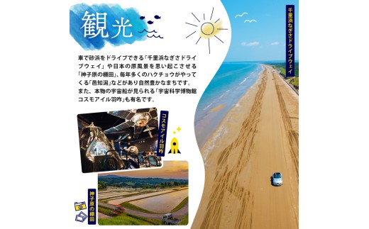 能登千里浜天然天日塩（大粒）