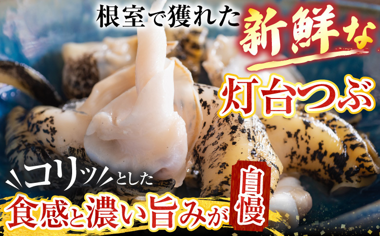 【北海道根室産】灯台つぶ200g×2P(計400g) G-20002