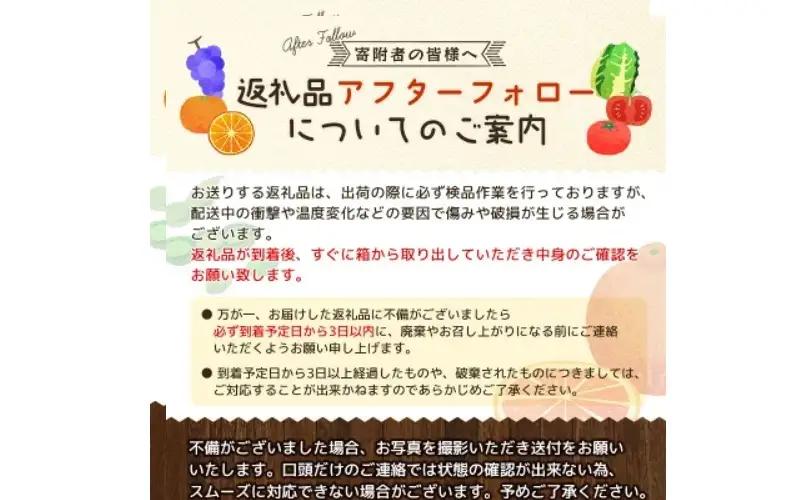 【糖度10度以上！】プレミアムかれん１kg とまと 野菜 トマト【delf038】