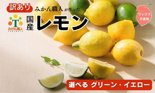 
            【選べる】 訳あり レモン（ グリーンレモン イエローレモン ) 1kg 3kg 5kg 【発送期間:8月中旬～4月】りのか 減農薬 レモン 農家直送 柑橘 かんきつ 檸檬 果物 くだもの 果実 国産 フルーツ 有名 愛媛 みかん職人武田屋 ブランド 愛媛県産 瀬戸内 ビタミン 美味しい 生産者 直送 産直 無添加 レモンサワー ジュース チューハイ 愛媛県 愛南町
          